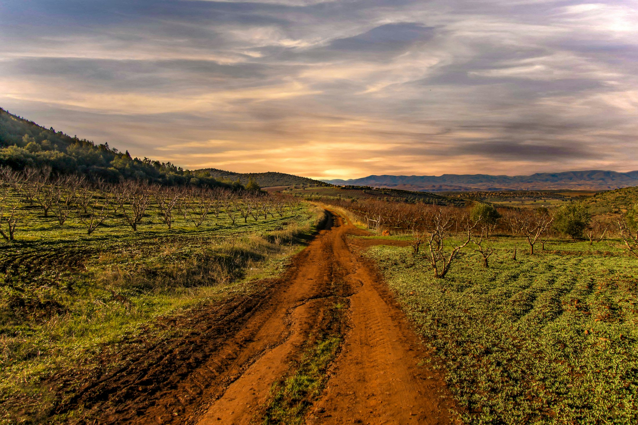 Illustrative rural landscape with cultivated countryside